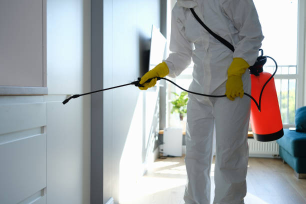 Biohazard Mold Removal in Pacifica, CA
