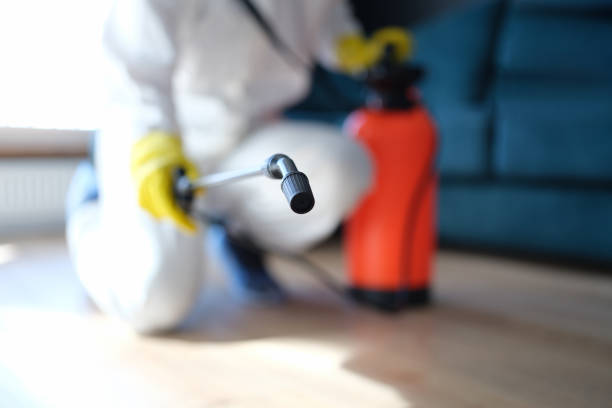 Best Mold Prevention Services  in Pacifi, CA